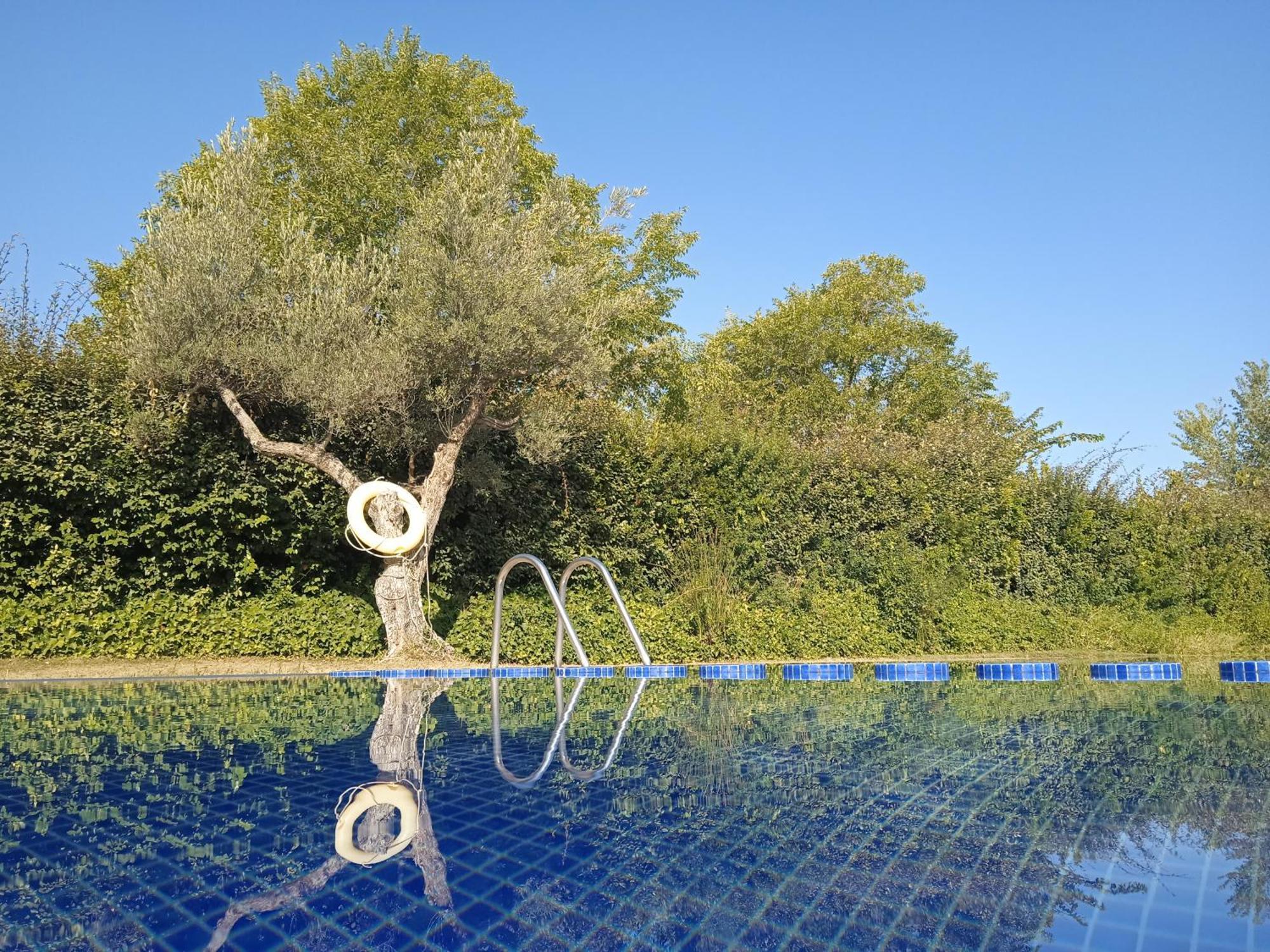 Camping Terra Alta Bot Exteriér fotografie